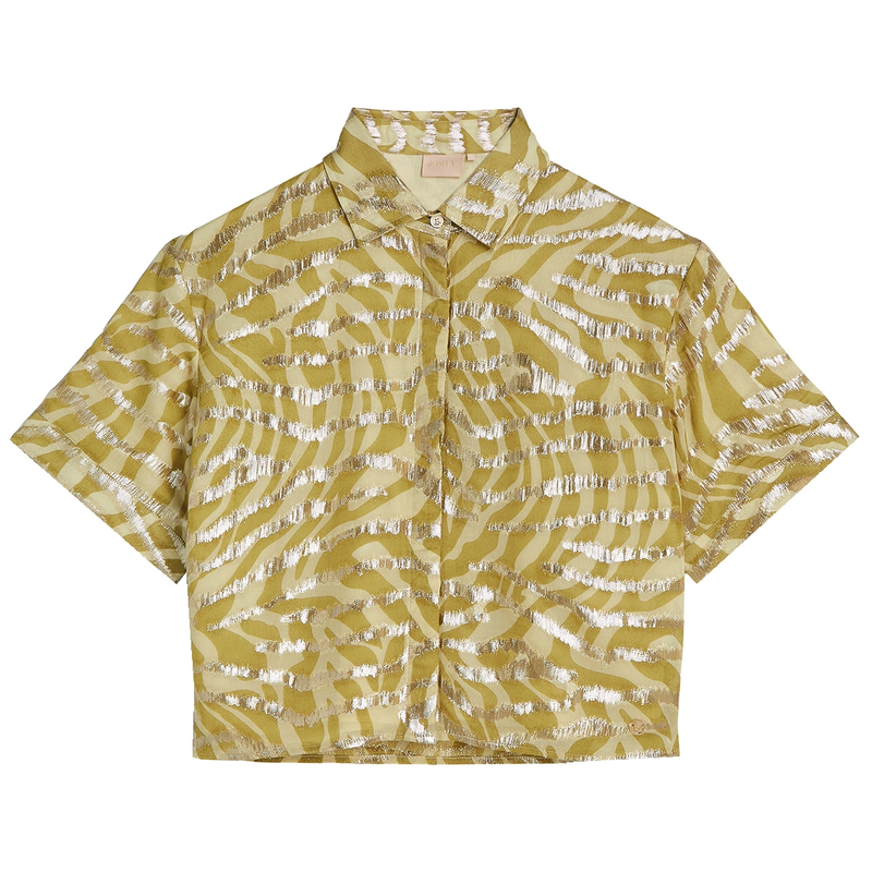 Dames Blouse ZIYA JOSH V GROEN DESSIN