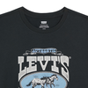 Dames T-shirt THE PERFECT TEE
