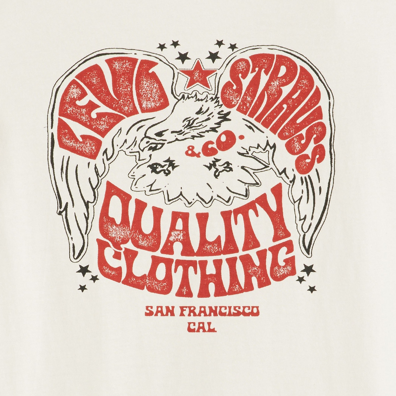Dames T-shirt THE PERFECT TEE Levi's Wit