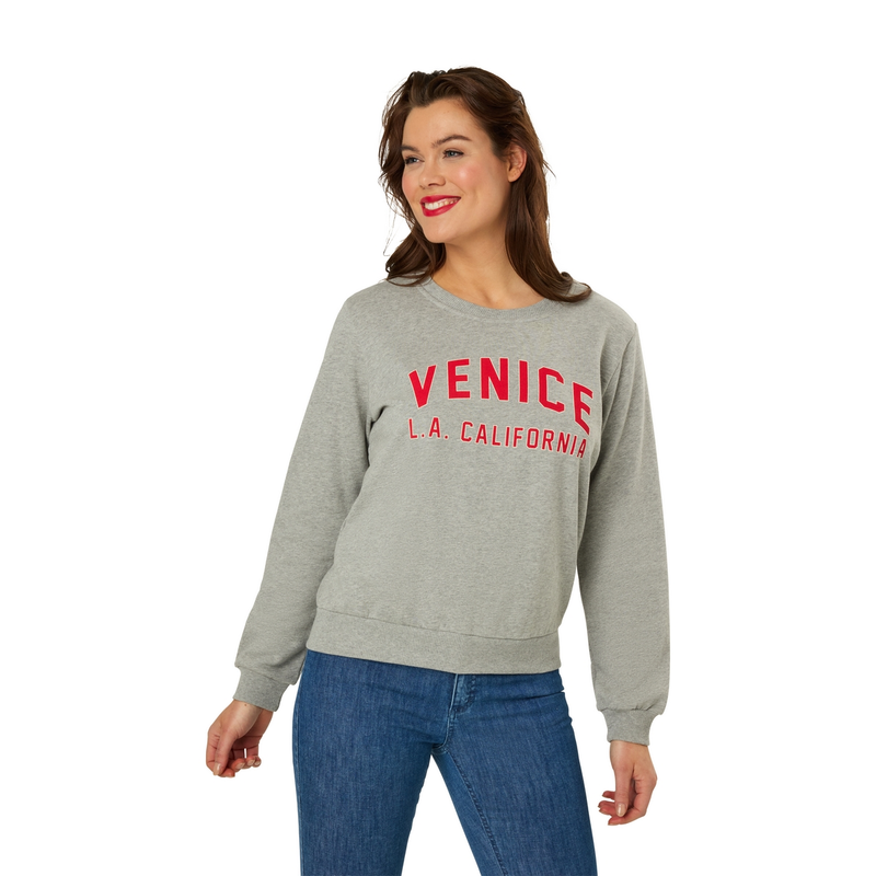 Dames Trui 25006 sweat chestprint Sanne GRIJS MELEE