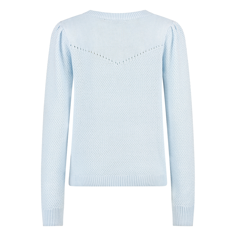 Dames Trui APS-110 Sanne BLEU