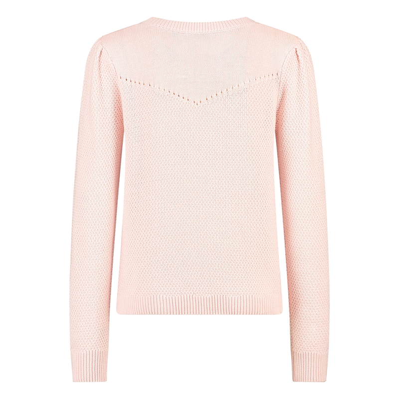 Dames Trui APS-110 Sanne ROZE