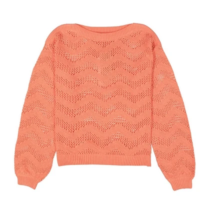 Dames Trui B50040