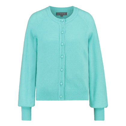 Dames Vest STRW-01VestjeR-hals