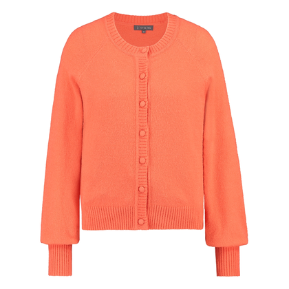 Dames Vest STRW-01VestjeR-hals