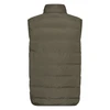Heren Bodywarmer Gavigio