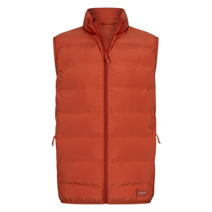 Heren Bodywarmer Gavigio