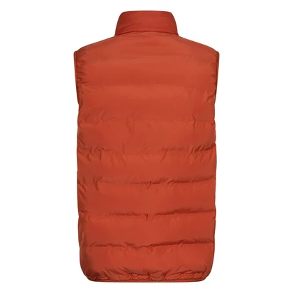 Heren Bodywarmer Gavigio