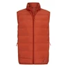 Heren Bodywarmer Gavigio