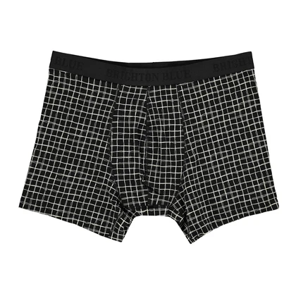 Heren Boxershort Boxershort check 2