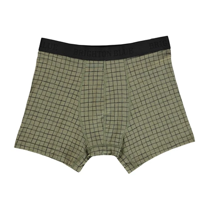 Heren Boxershort Boxershort Check