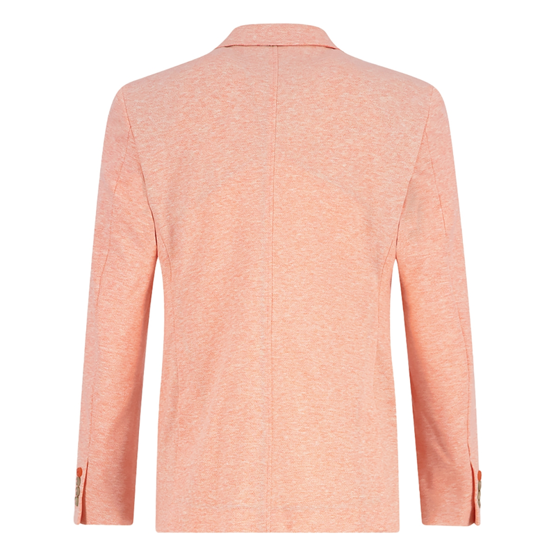 Heren Colbert 31.113.456 Roze A fish named fred ROZE