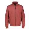 Heren Jack 2537017