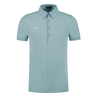 Heren Polo 10284