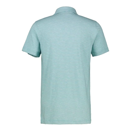 Heren Polo 2533206