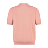 Heren Polo Asac_P 10259532 01