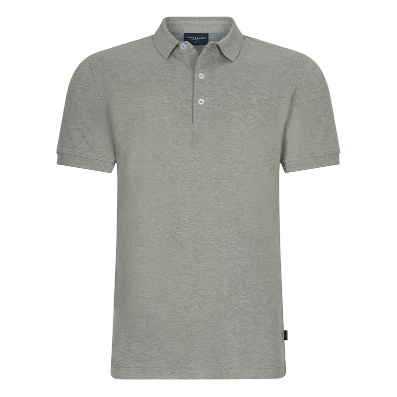 Heren Polo Bavone Cavallaro GROEN DESSIN