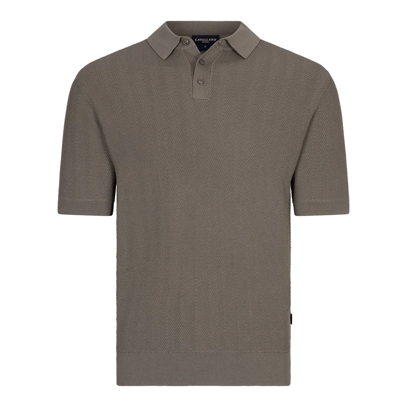 Heren Polo Miro Cavallaro GROEN
