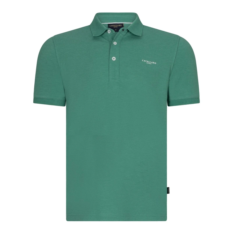 Heren Polo Neapolis Cavallaro GROEN