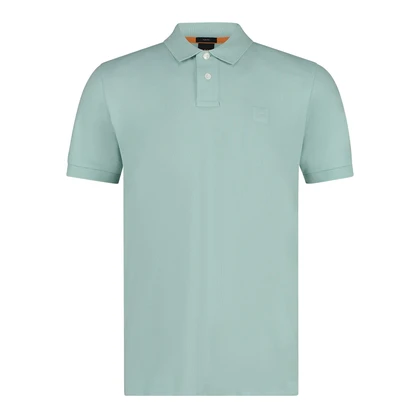 Heren Polo Passenger 10256683 01