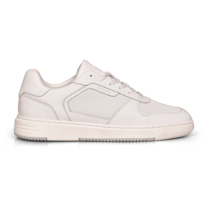 Heren Schoenen SDLM251045