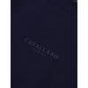 Heren T-shirt Davegio Tee