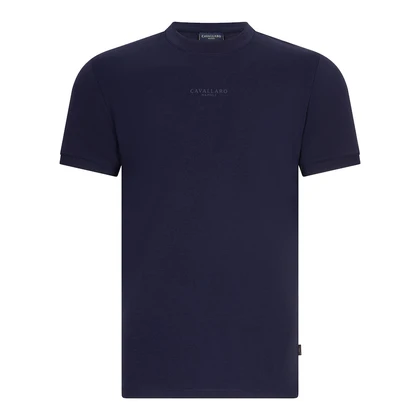 Heren T-shirt Davegio Tee