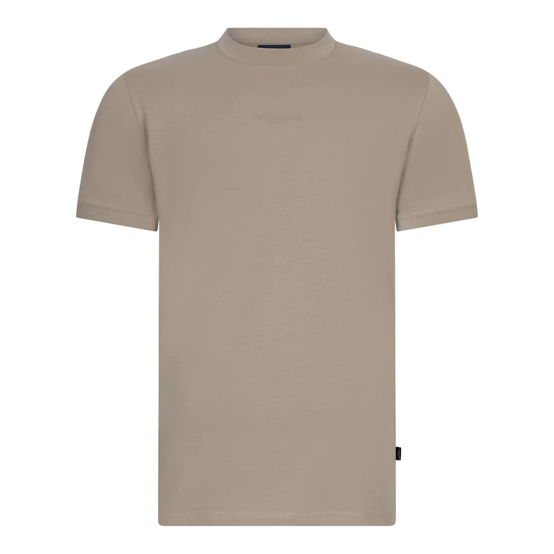 Heren T-shirt Davegio Tee Cavallaro GROEN