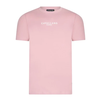 Heren T-shirt Mandrio
