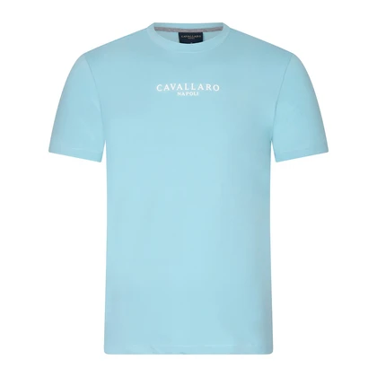 Heren T-shirt Mandrio