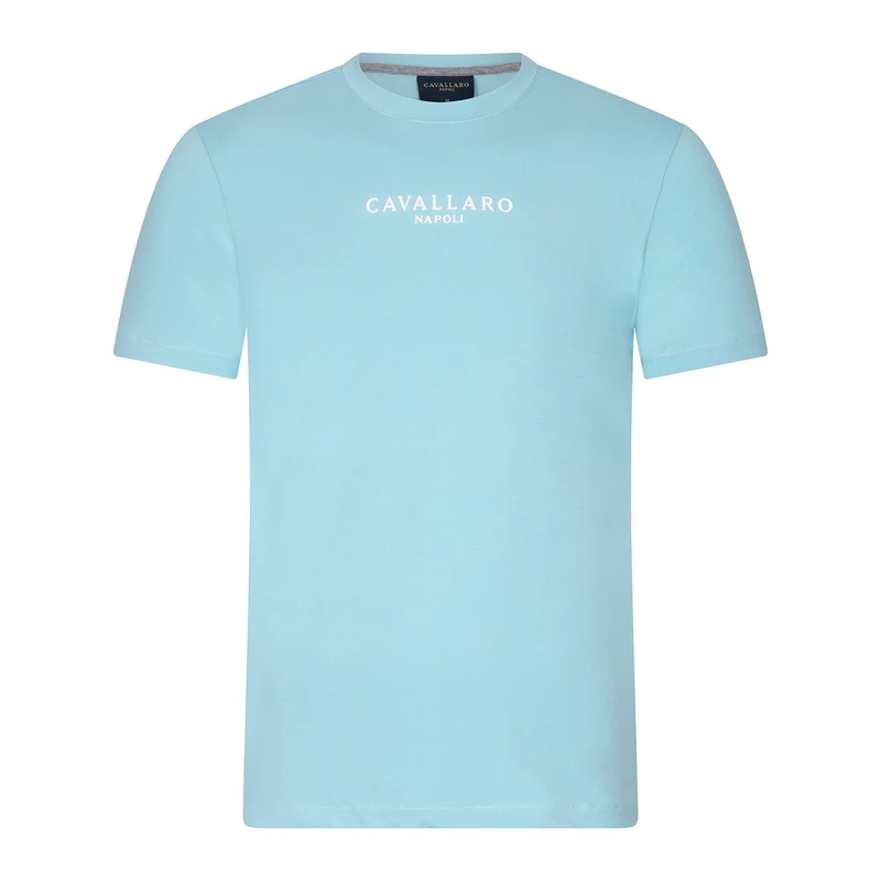 Heren T-shirt Mandrio Cavallaro AQUA