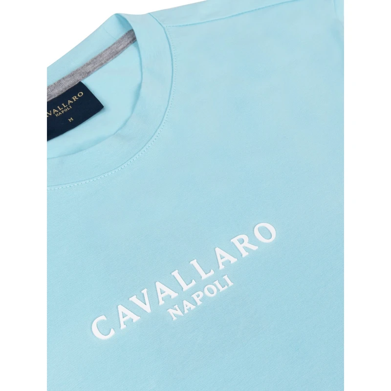 Heren T-shirt Mandrio Cavallaro AQUA