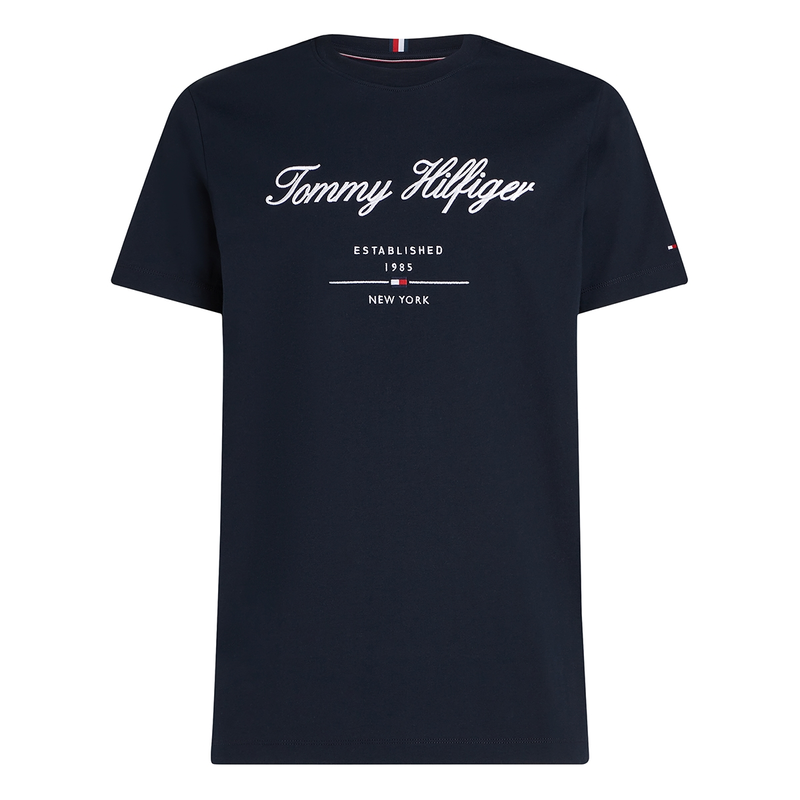 Heren T-shirt MW0MW33691.DW5 Tommy Hilfiger NAVY