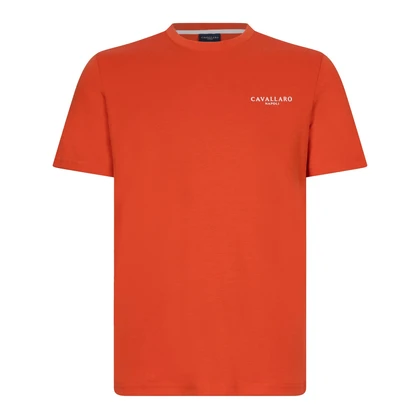 Heren T-shirt Neapolis