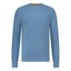 Heren Trui 11115059