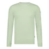 Heren Trui 11115073