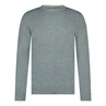 Heren Trui 11115073