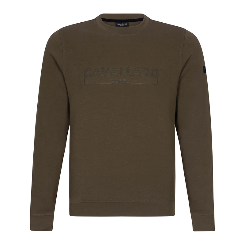 Heren Trui 120241001 Cavallaro GROEN