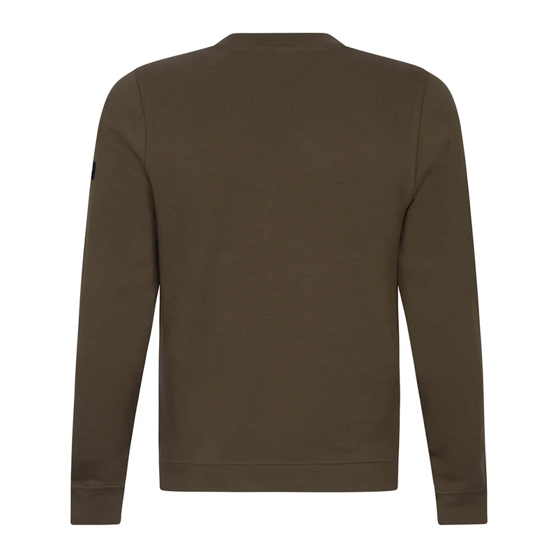 Heren Trui 120241001 Cavallaro GROEN