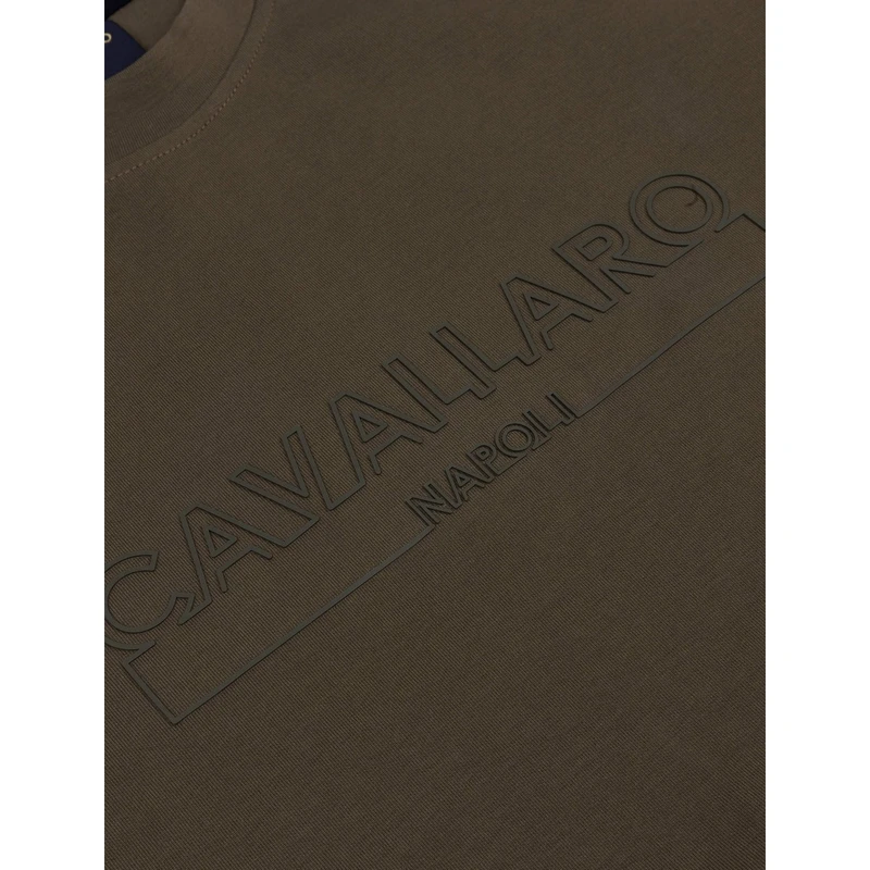 Heren Trui 120241001 Cavallaro GROEN