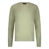 Heren Trui 12115720
