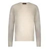 Heren Trui 12115720