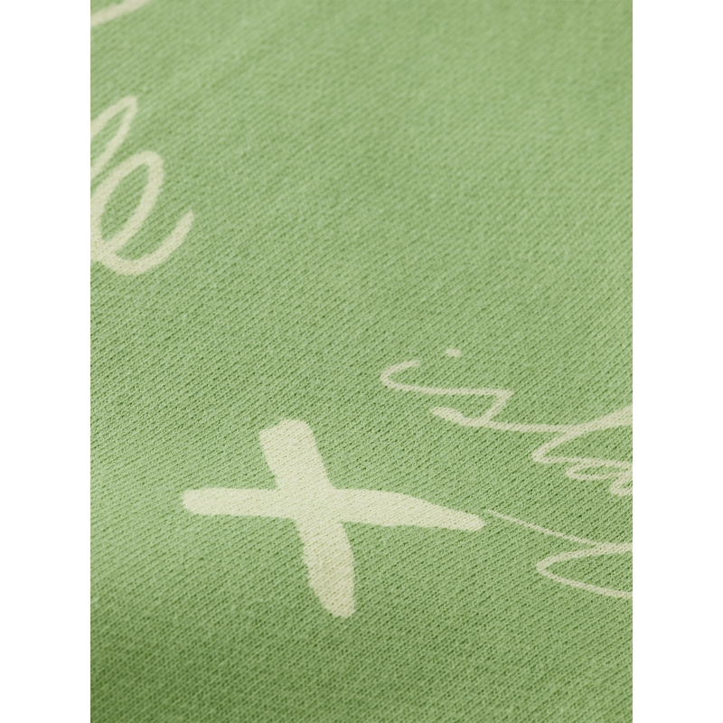 Heren Trui 180076.300 Scotch & Soda GROEN