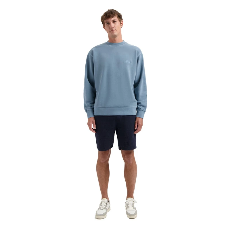 Heren Trui 211710 Nikol Dstrezzed BLEU