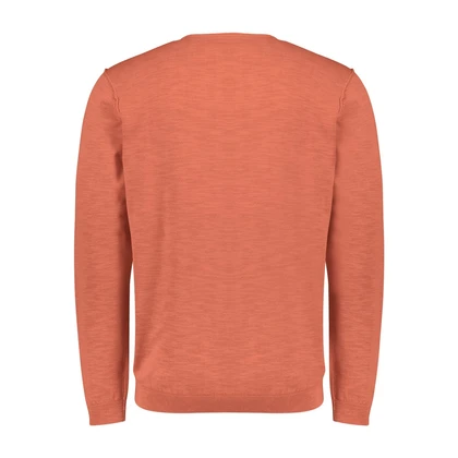 Heren Trui 23210103SN