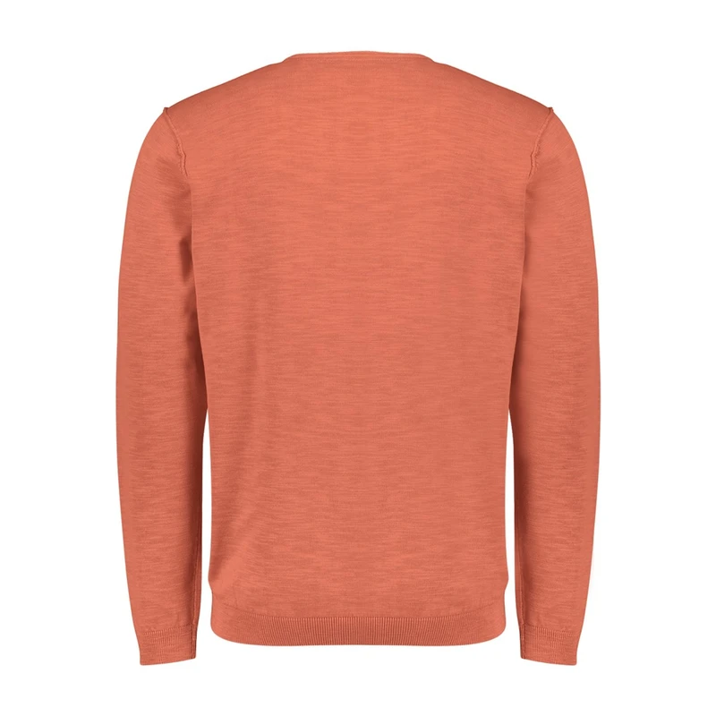 Heren Trui 23210103SN No Excess ROZE