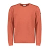 Heren Trui 23210103SN