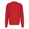 Heren Trui 24D5012