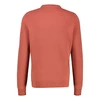 Heren Trui 2525012