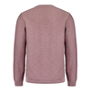Heren Trui 27210101SN